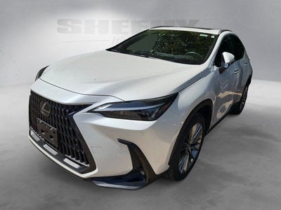 2025 Lexus NX 350h Premium