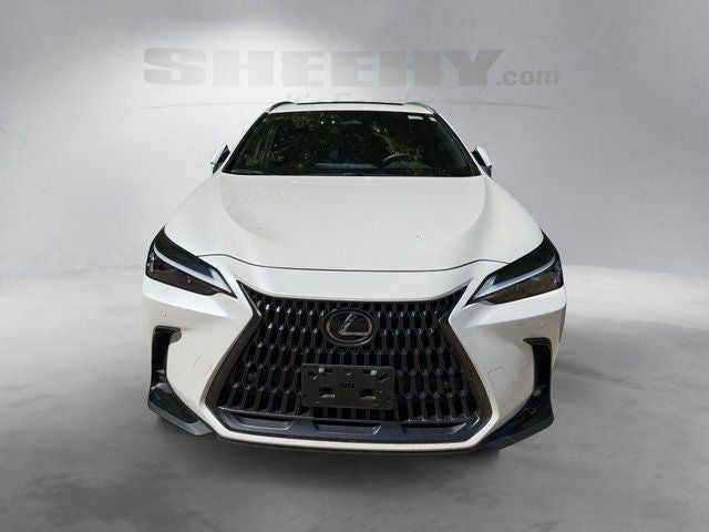 2025 Lexus NX 350h Premium