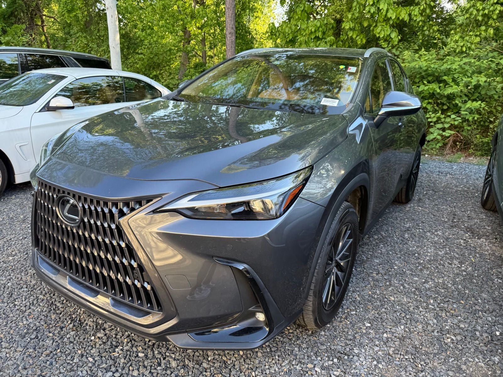 2024 Lexus NX 350h Premium