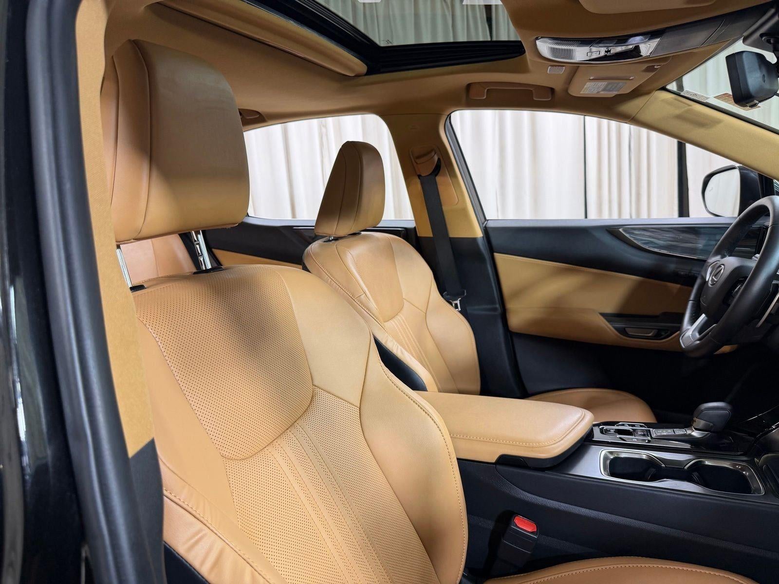 2023 Lexus NX 350h Premium