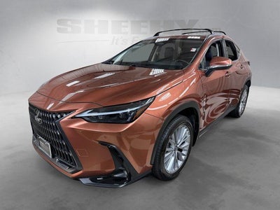 2025 Lexus NX 350h Premium