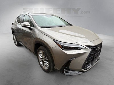 2023 Lexus NX 350 Luxury