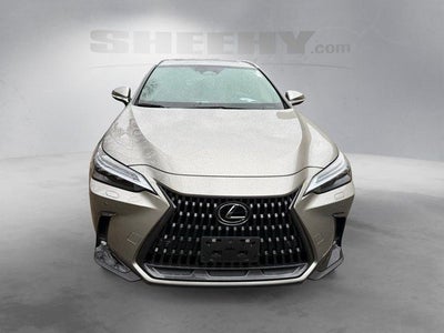 2023 Lexus NX 350 Luxury