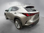 2023 Lexus NX 350 Luxury