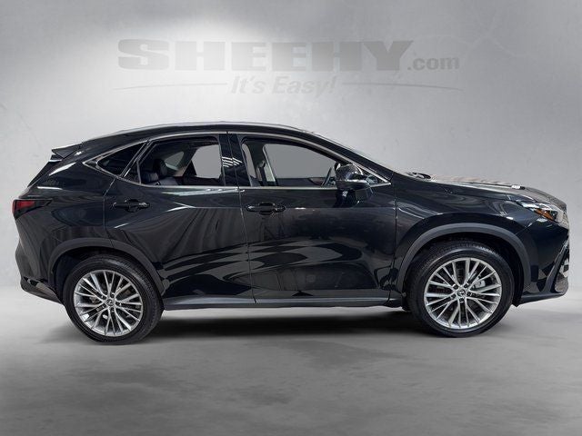 2024 Lexus NX 350 Luxury