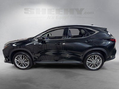 2024 Lexus NX 350 Luxury