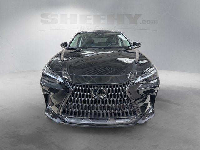 2024 Lexus NX 350 Luxury