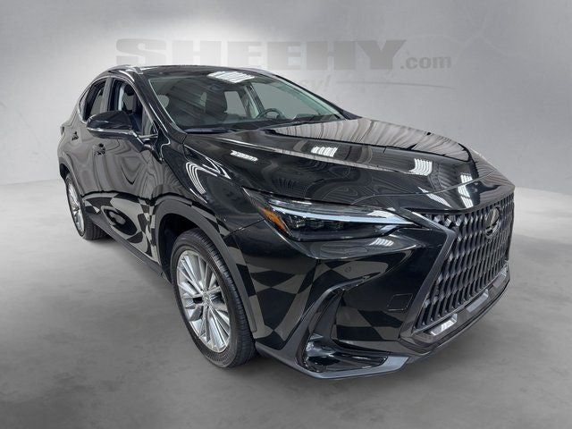 2024 Lexus NX 350 Luxury