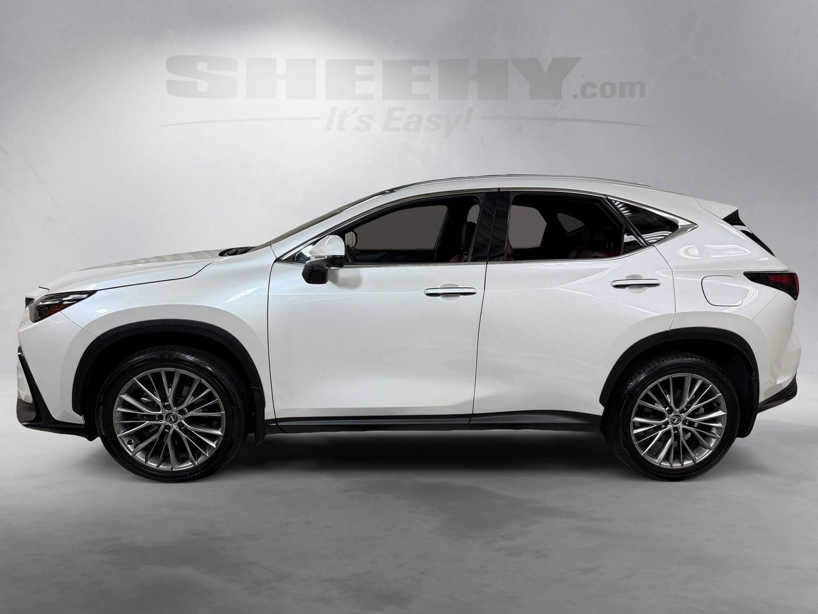 2024 Lexus NX 350 Luxury