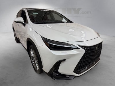 2024 Lexus NX 350 Luxury