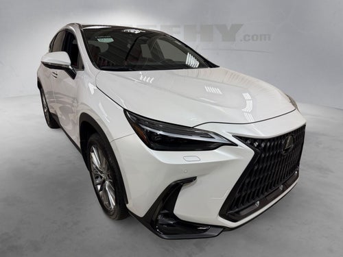 2024 Lexus NX 350 Luxury