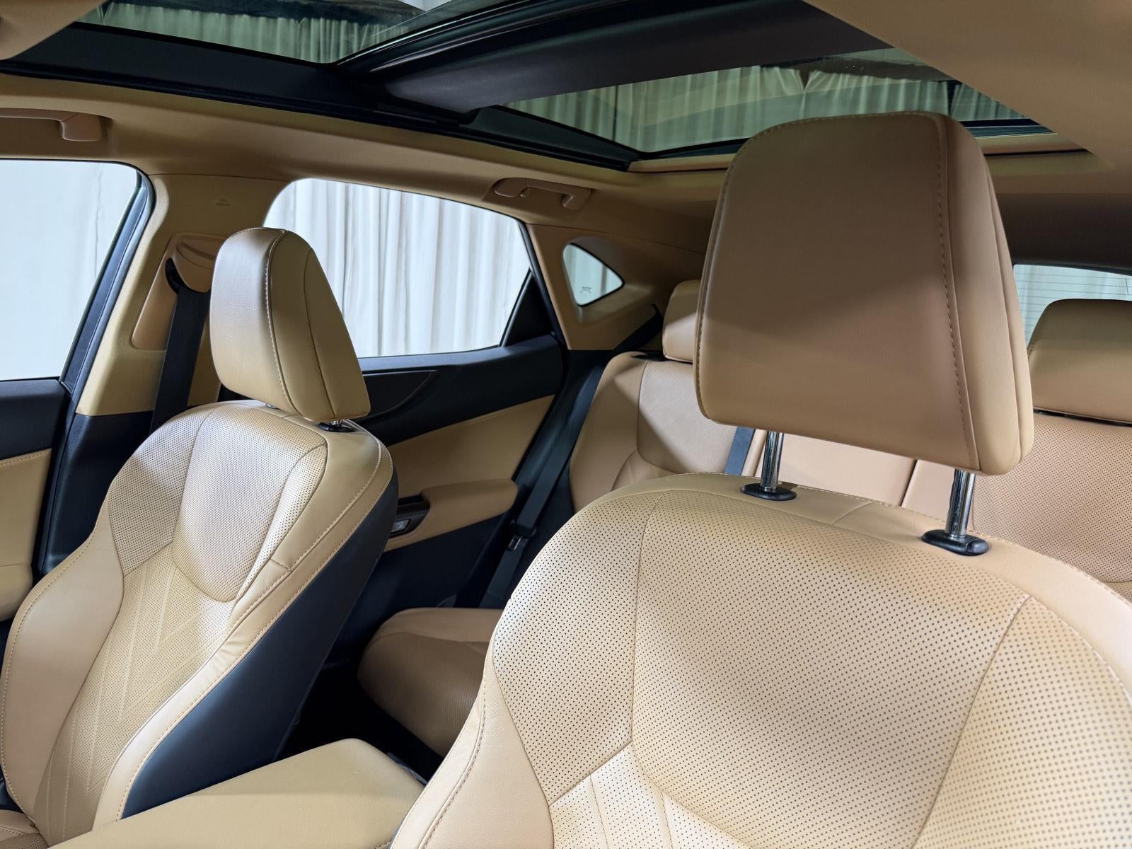 2024 Lexus Nx NX 350h Luxury