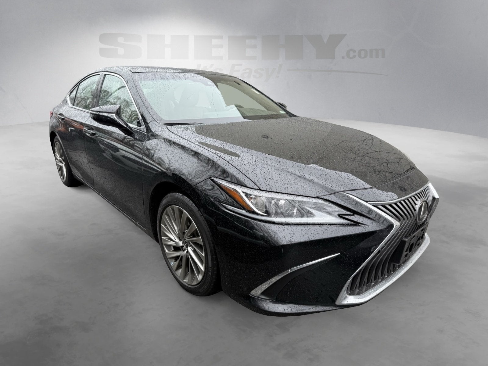 2019 Lexus ES 350 Luxury
