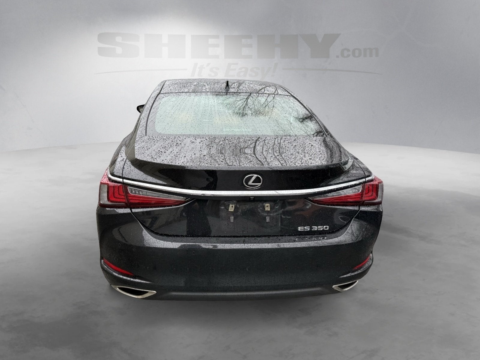 2019 Lexus ES 350 Luxury