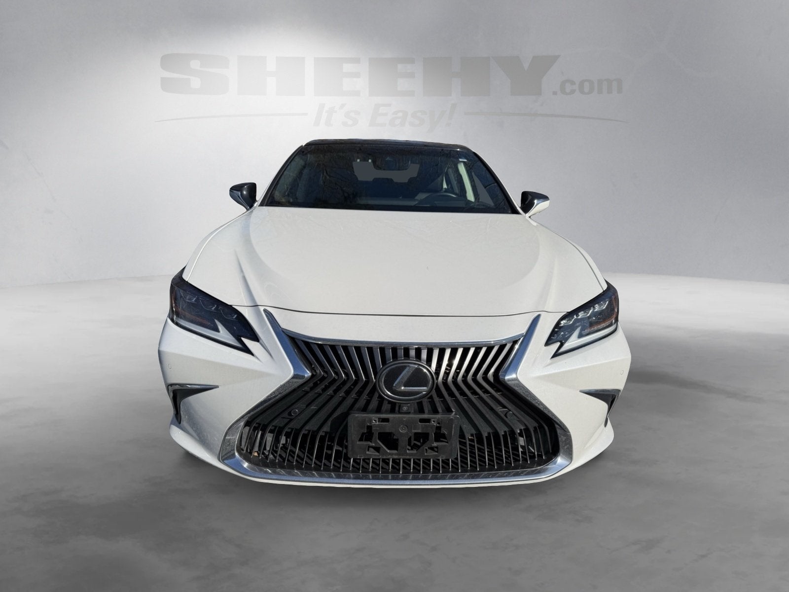 2019 Lexus ES 350 Ultra Luxury