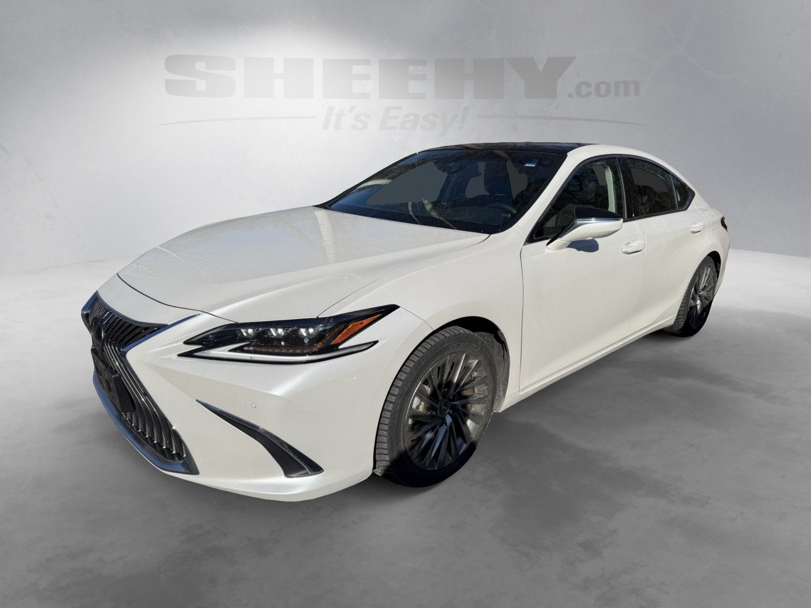 2019 Lexus ES 350 Ultra Luxury