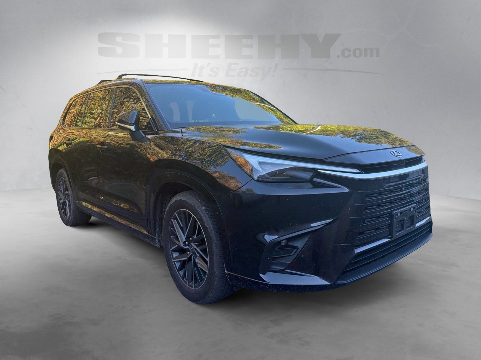 2025 Lexus TX 350 Premium