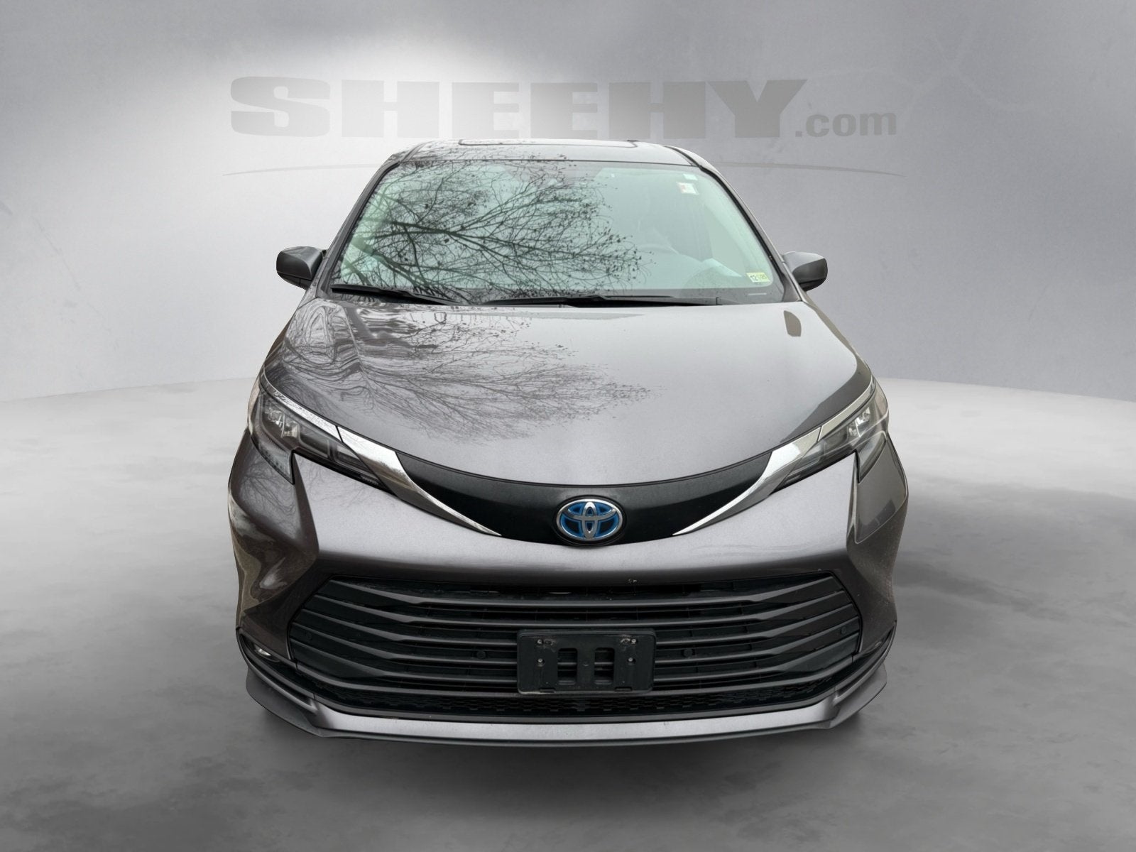 2025 Toyota Sienna XLE 7 Passenger