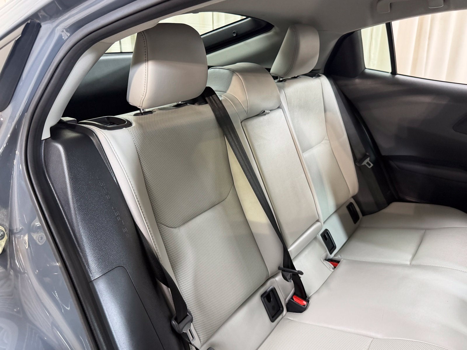 2023 Toyota Prius XLE