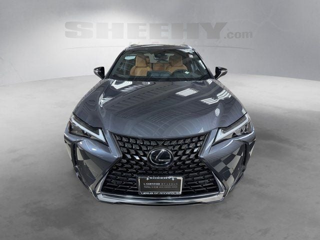 2023 Lexus UX 250h Premium