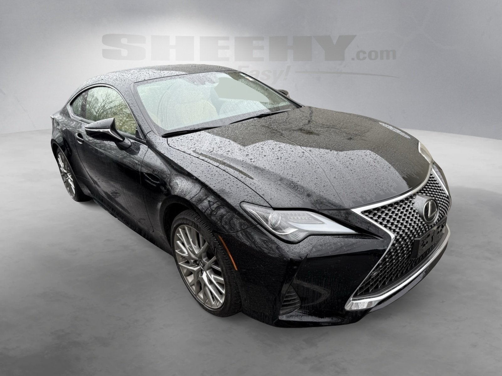 2019 Lexus RC 300