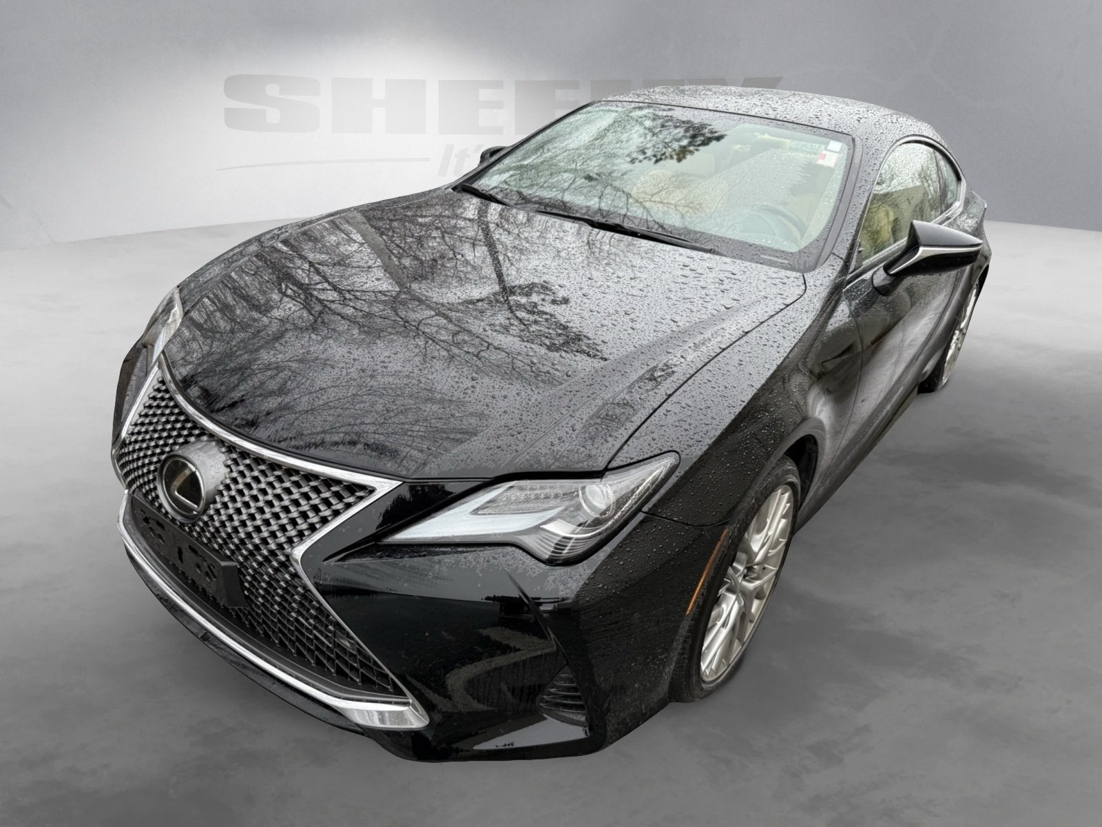 2019 Lexus RC 300