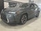 2025 Lexus UX UX 300h Premium
