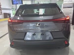 2025 Lexus UX UX 300h Premium