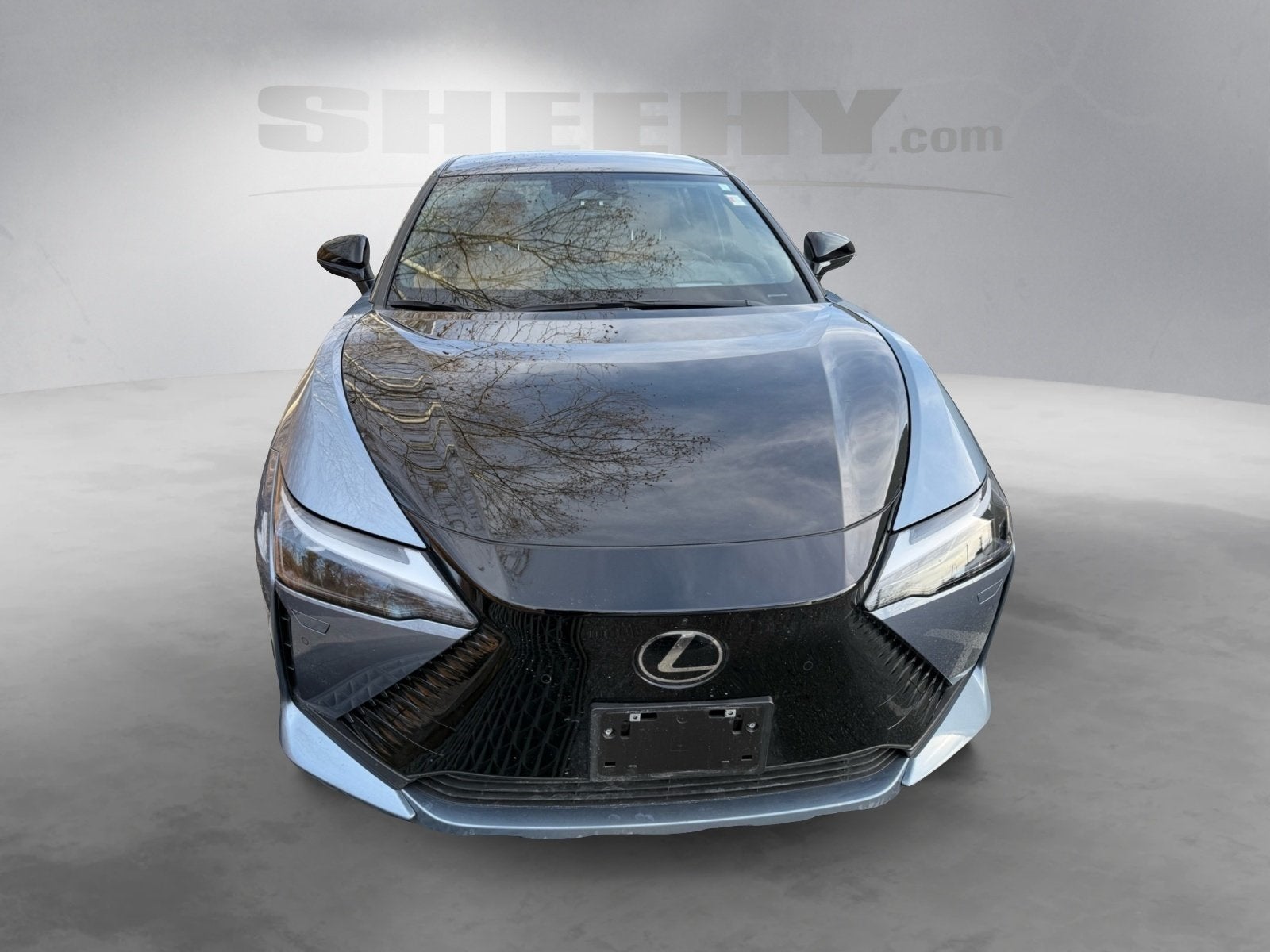 2025 Lexus RZ 450e Premium