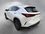 2024 Lexus NX 350 Base