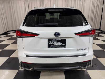 2018 Lexus NX 300h