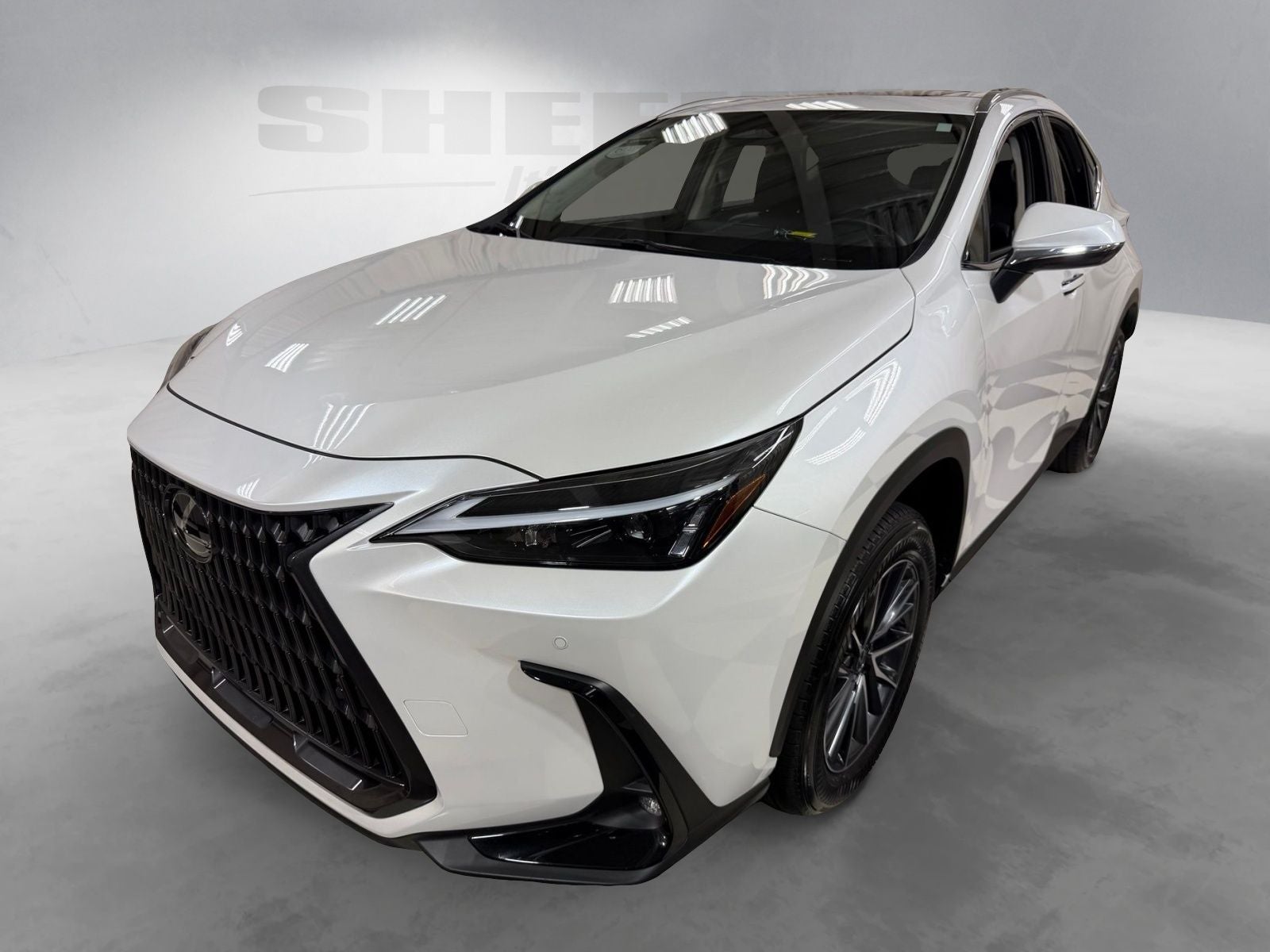 2025 Lexus NX 250 Premium