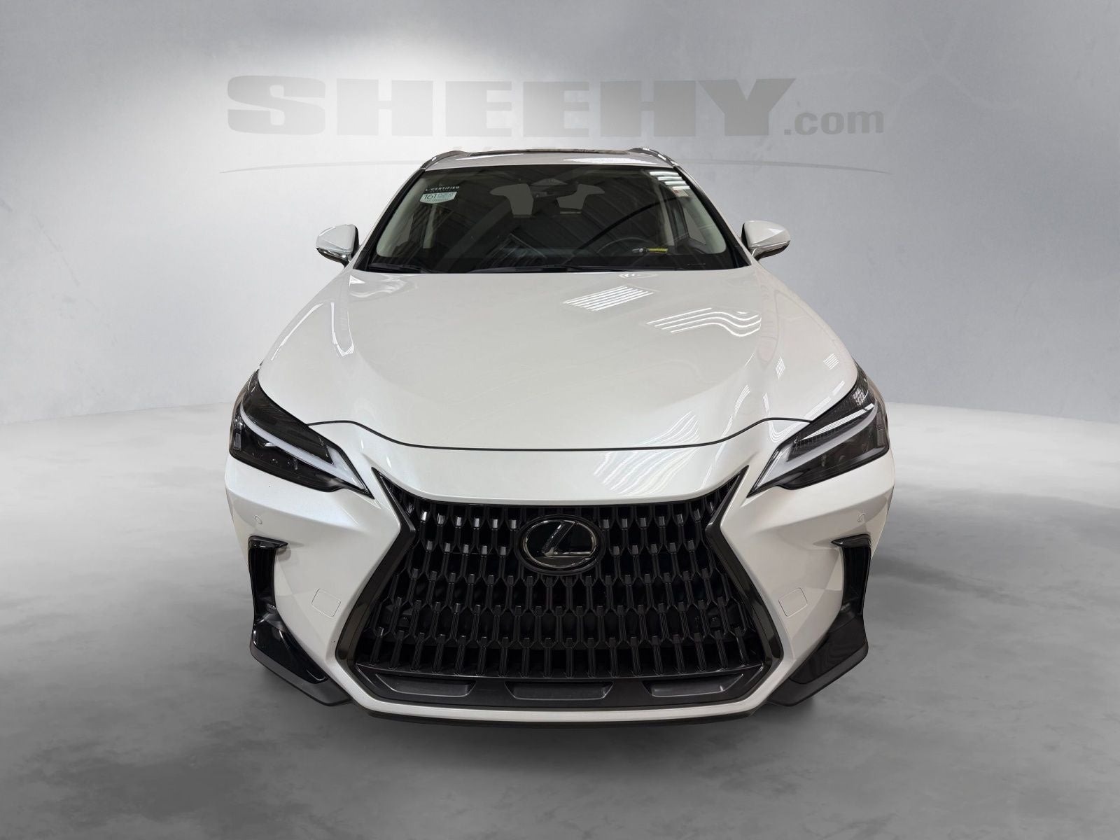 2025 Lexus NX 250 Premium