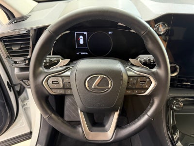 2025 Lexus NX 250 Premium