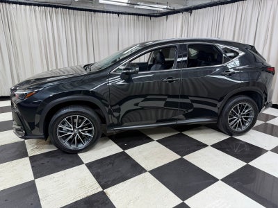 2022 Lexus NX 350 Premium
