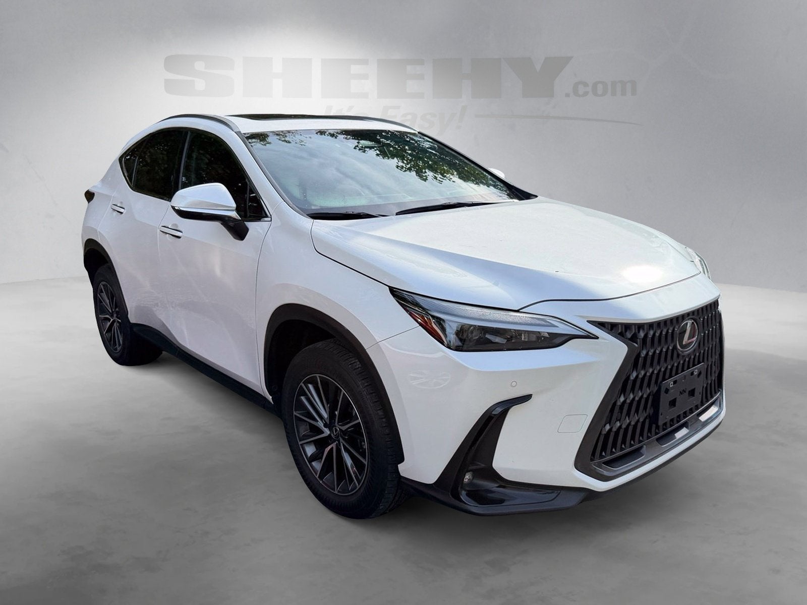 2024 Lexus NX 350 Premium
