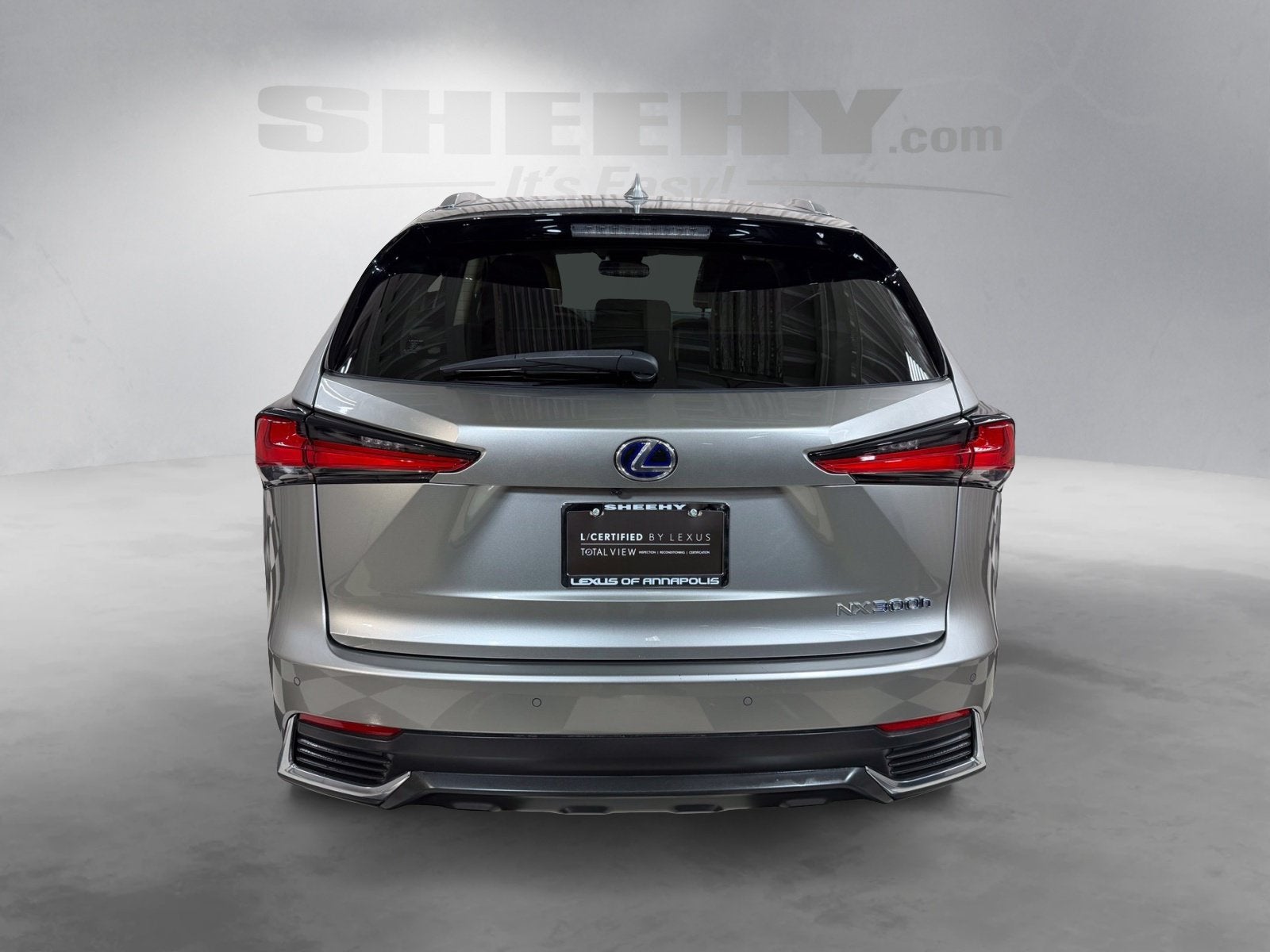 2020 Lexus NX 300h