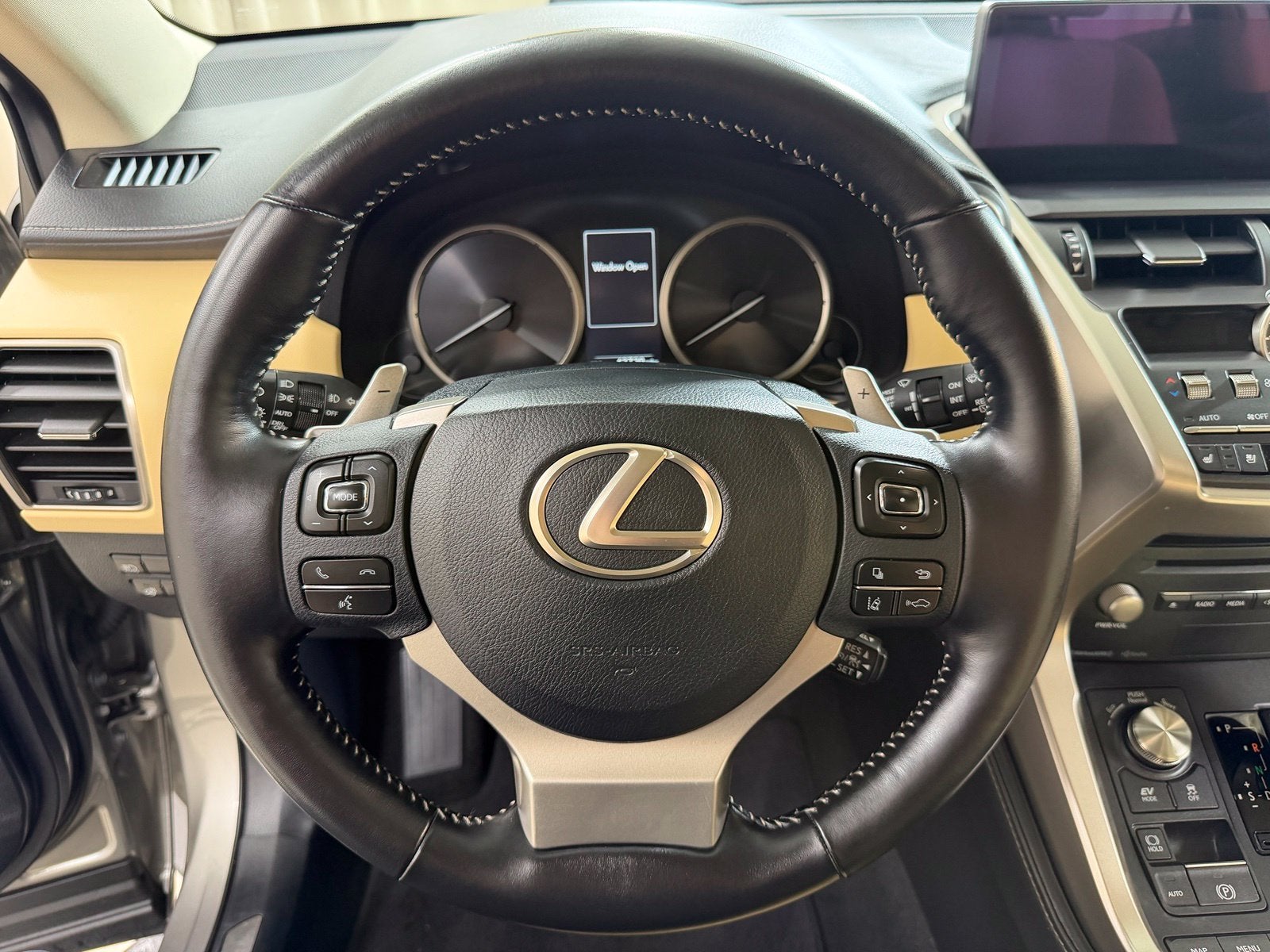 2020 Lexus NX 300h