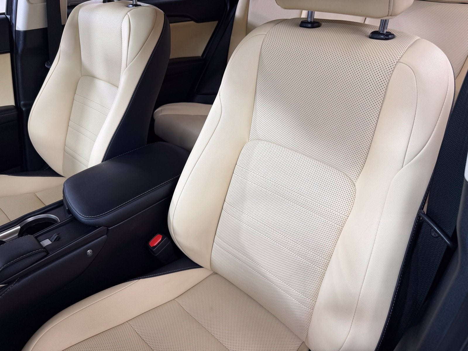 2020 Lexus NX 300h
