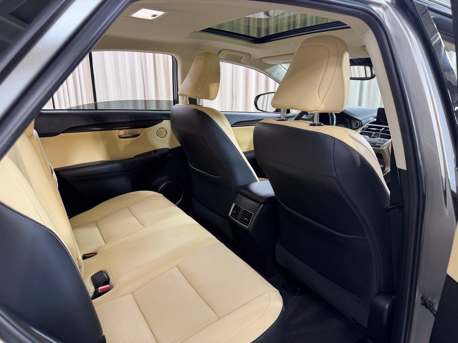 2020 Lexus NX 300h