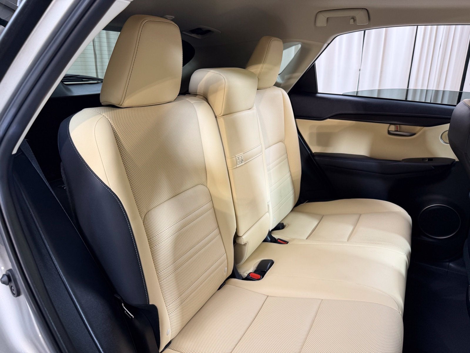 2020 Lexus NX 300h
