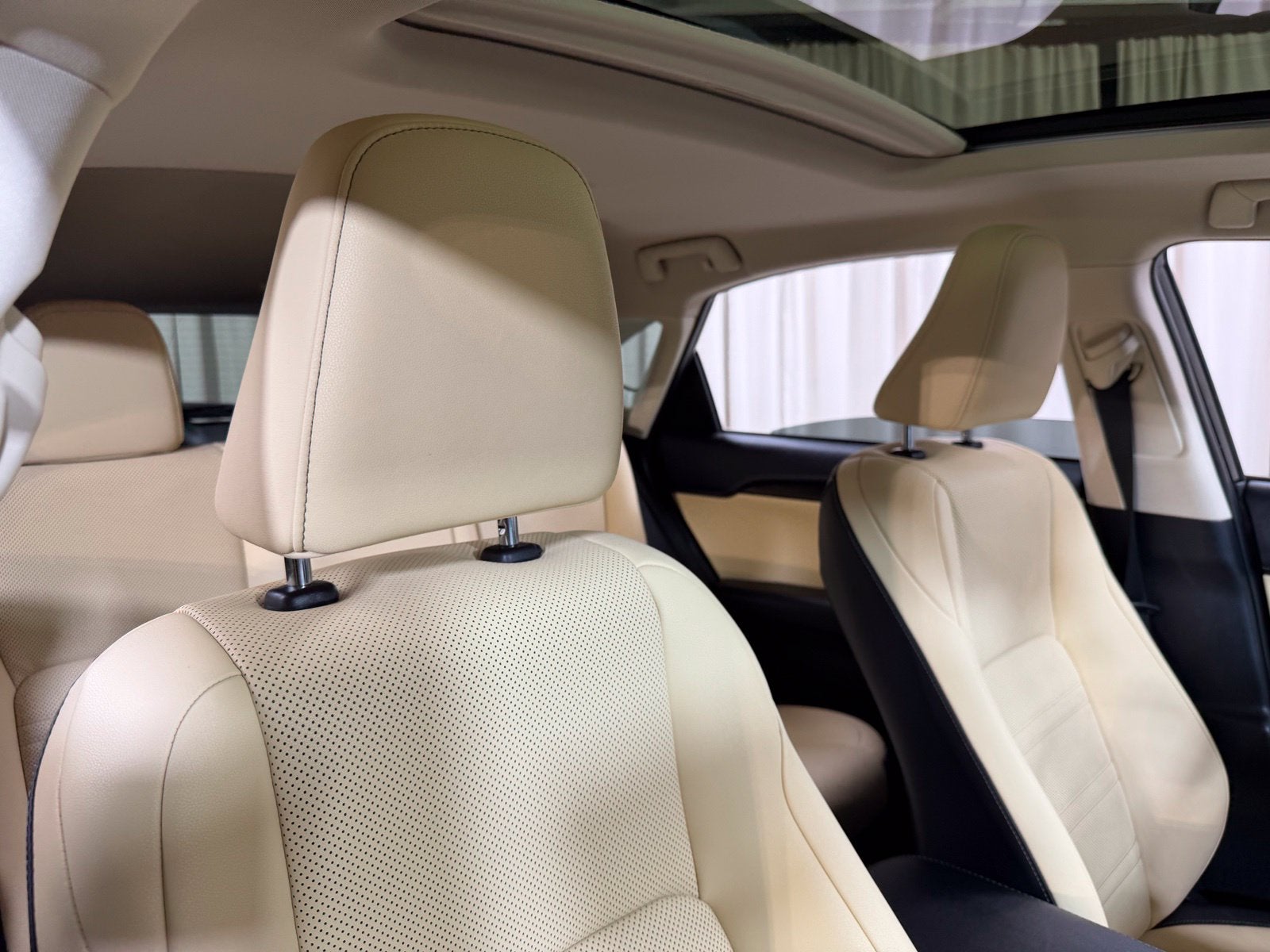 2020 Lexus NX 300h