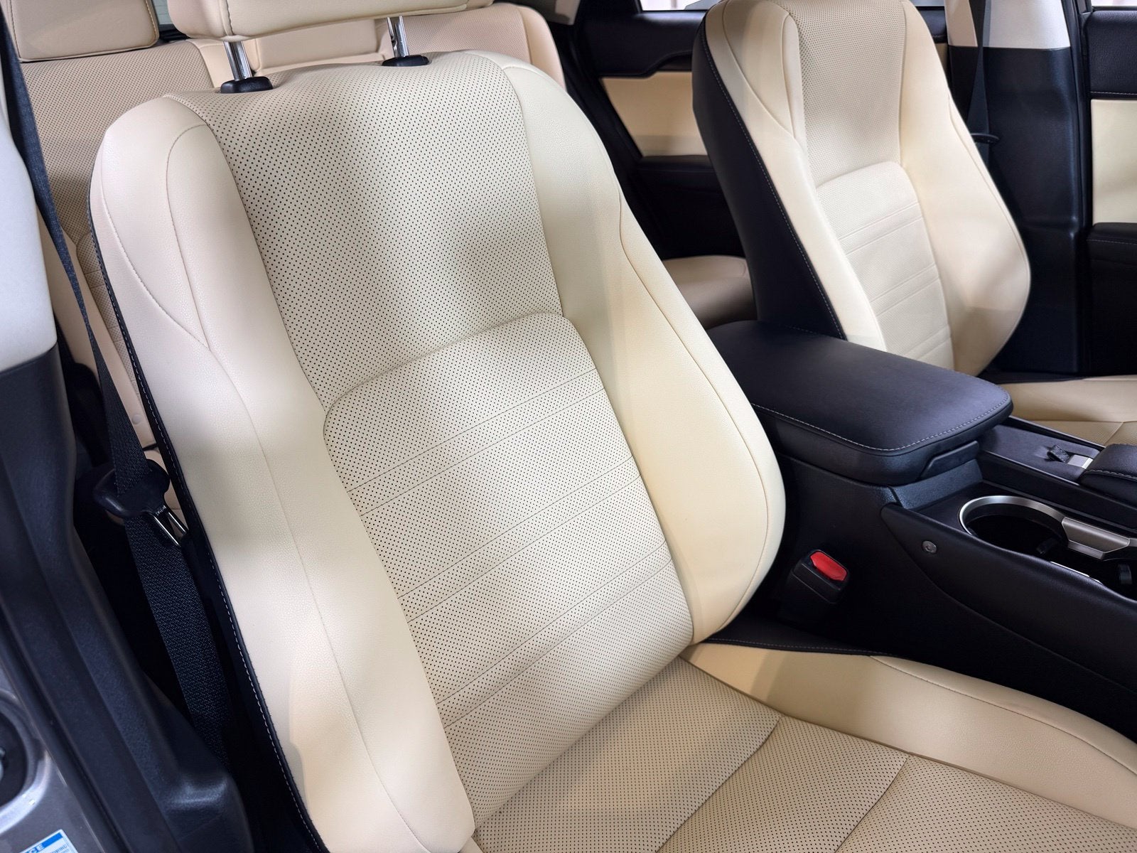 2020 Lexus NX 300h
