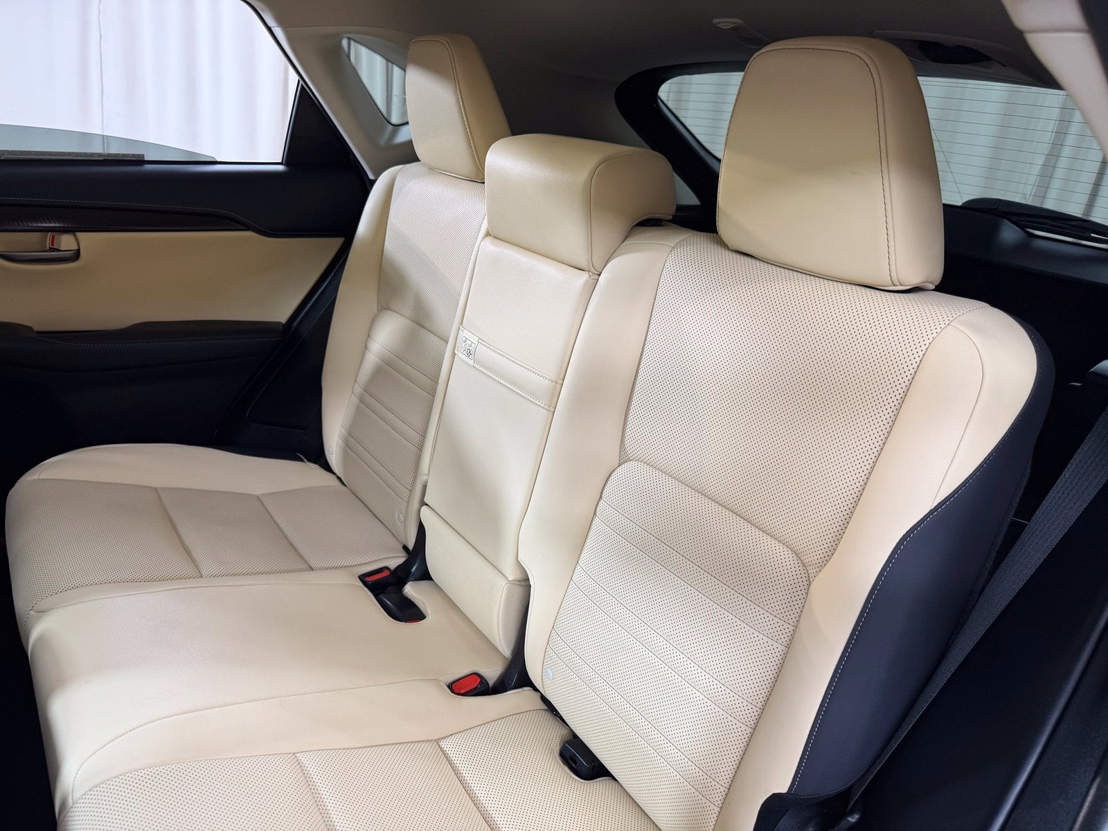 2020 Lexus NX 300h