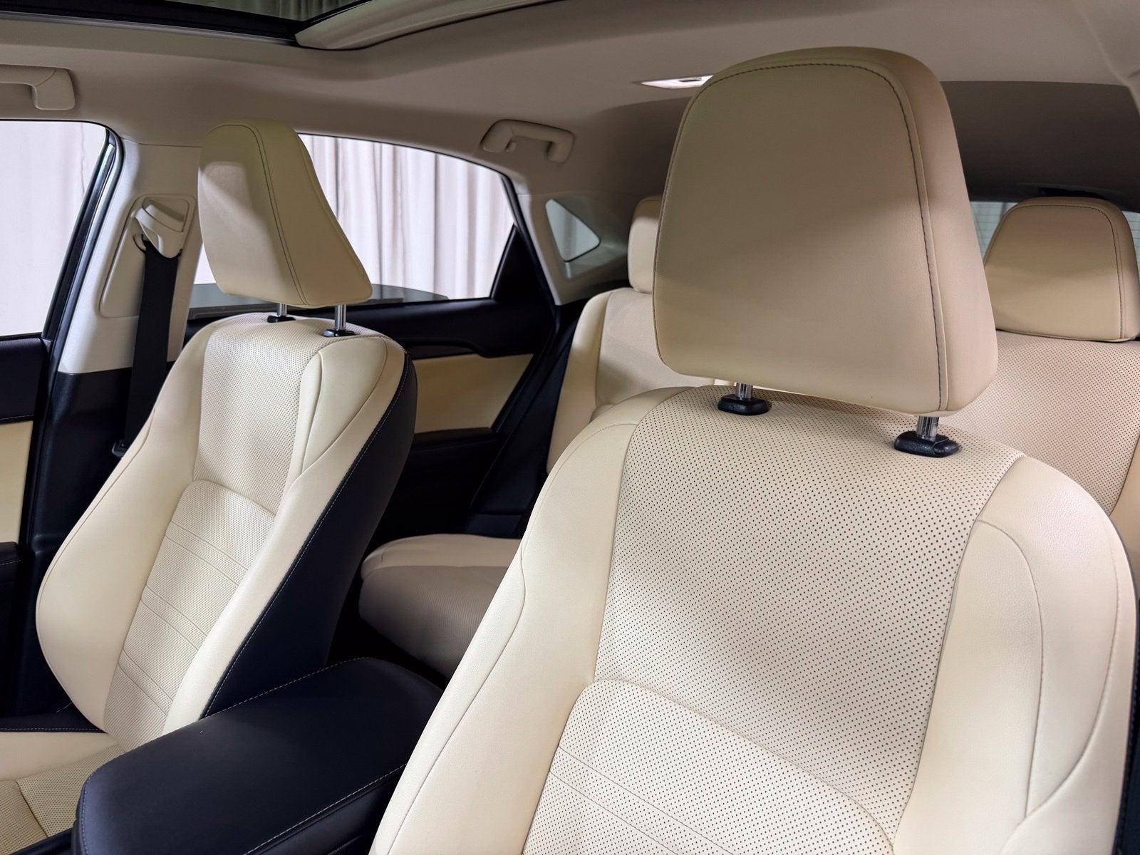 2020 Lexus NX 300h