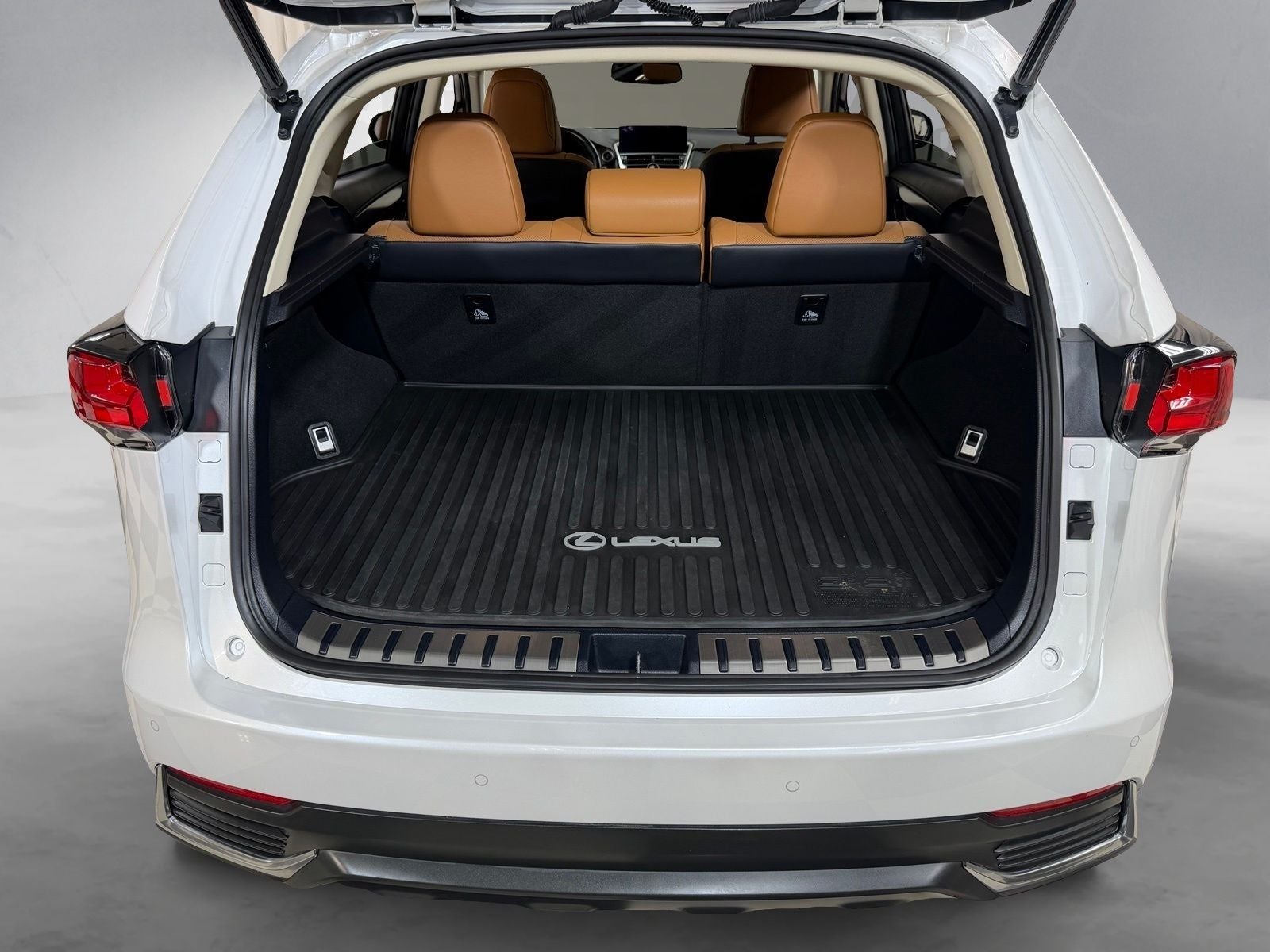 2021 Lexus NX 300h