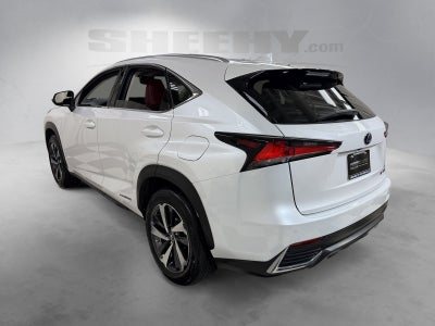 2021 Lexus NX 300h