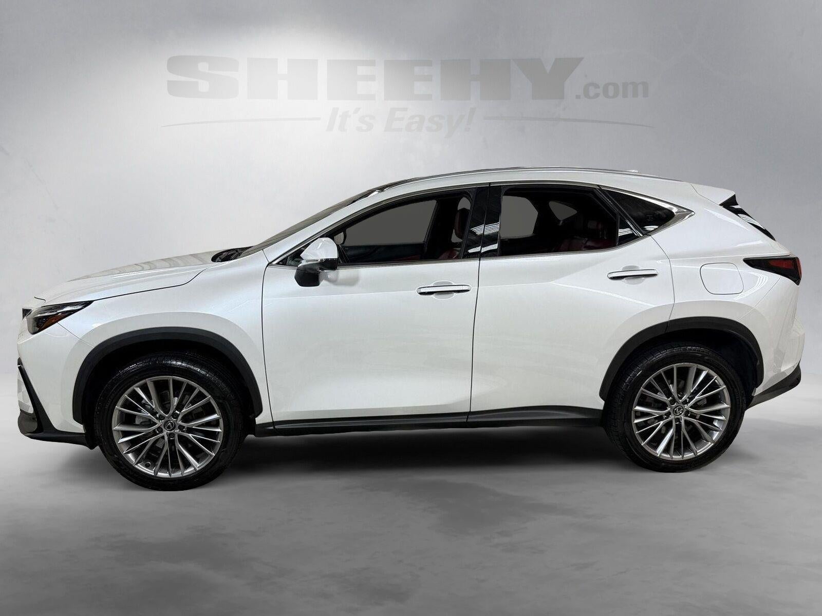 2024 Lexus Nx NX 350 Luxury