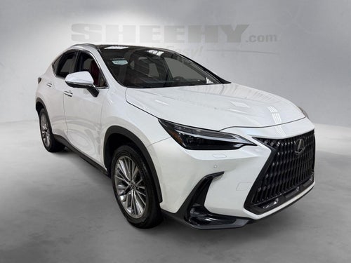 2024 Lexus Nx NX 350 Luxury