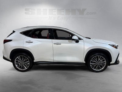 2025 Lexus NX NX 350 Luxury
